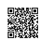 D55342E07B3B57MTP QRCode