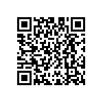 D55342E07B4B99RWS QRCode