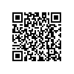 D55342E07B511ERWS QRCode