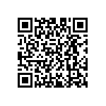 D55342E07B51B1RTP QRCode