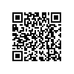 D55342E07B665ARWS QRCode