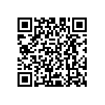 D55342E07B80B6RTP QRCode