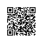 D55342H07B383ERWS QRCode