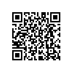 D55342K07B221DPT5V QRCode