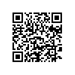 DBM13W3P1A9NA191K87 QRCode