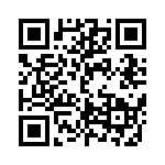 DBM13W3PA156 QRCode