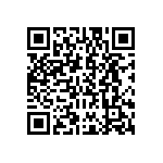 DBM17W2P0L4A191K87 QRCode