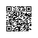 DCM13W6P1A9NA191K87 QRCode