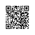 DE9P1A9NA191K87 QRCode