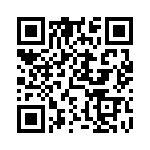 DF1-13A1-33 QRCode