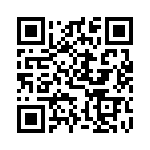 DF3E-2P-2H-20 QRCode