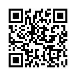 DFB2010 QRCode