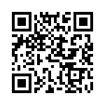 DPR090080-P13P QRCode