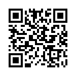 DTDG23YPT100 QRCode