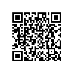 DW-02-08-T-S-295 QRCode