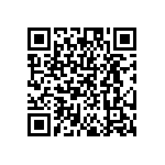 DW-02-09-T-S-384 QRCode