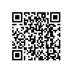 DW-04-07-T-S-213 QRCode