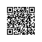 DW-04-09-G-S-385 QRCode