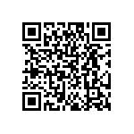 DW-04-09-T-S-300 QRCode