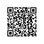 DW-04-13-T-D-955 QRCode