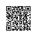 DW-04-13-T-S-1010 QRCode