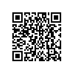 DW-04-17-T-S-256 QRCode