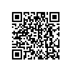 DW-06-13-T-S-940 QRCode