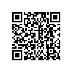 DW-09-13-T-S-1010 QRCode