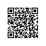 DW-10-09-T-S-480 QRCode