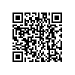 DW-12-11-G-D-510 QRCode