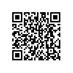 DW-13-12-L-S-687 QRCode