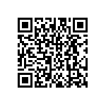 DW-13-17-T-S-234 QRCode