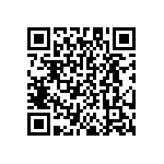 DW-20-20-T-S-787 QRCode