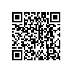 DW-24-13-F-S-925 QRCode