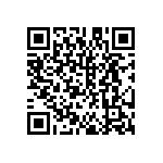 DW-31-13-F-S-885 QRCode