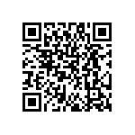 DW-41-09-F-S-380 QRCode