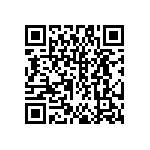 DW-41-13-F-S-935 QRCode