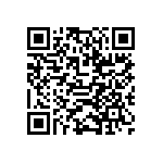 DWM-02-53-G-D-370 QRCode