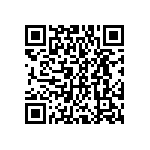 DWM-03-51-T-S-250 QRCode