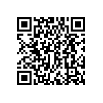 DWM-04-53-G-S-307 QRCode