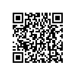 DWM-12-01-T-S-250 QRCode