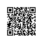 DWM-13-53-S-D-385 QRCode