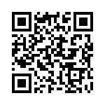 E13522 QRCode