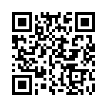 E21311300000G QRCode