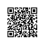 EW-04-09-L-S-300 QRCode