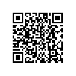 EW-04-10-T-S-300 QRCode