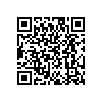 EW-09-09-T-S-300 QRCode