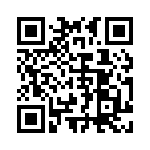 FCE17E09PB65B QRCode