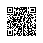 FG20C0G2W333JNT06 QRCode