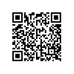 FW-13-04-F-D-425-100 QRCode